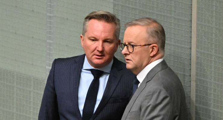 Minister for Climate Change Chris Bowen and Prime Minister Anthony Albanese (Image: AAP/Mick Tsikas)