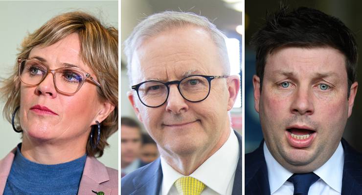 Zali Steggall, Anthony Albanese and Tim Smith (Images: AAP)