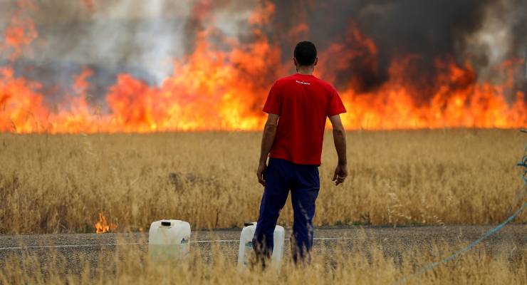 A shepherd watches a burning wheat field in the province of Zamora, Spain (Image: REUTERS/Isabel Infantes)