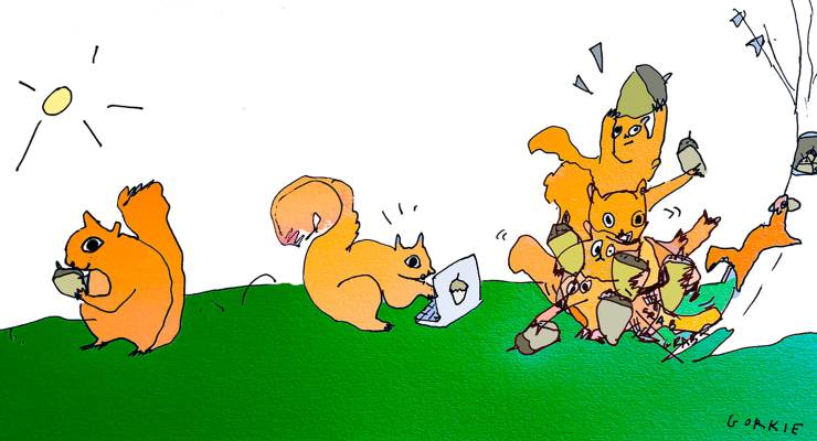 (Image: Gorkie/Private Media)