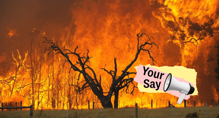 A bushfire in the Bunyip State Forest in Victoria in 2009 (Image: AAP/Private Media)