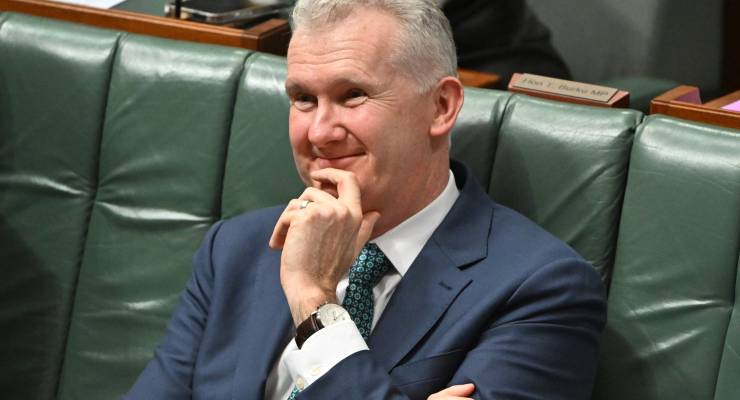 Workplace Relations Minister Tony Burke (Image: AAP/Mick Tsikas)