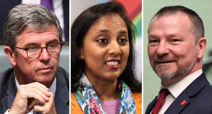 David Gillespie, Michelle Ananda-Rajah and Graham Perrett (Images: AAP)