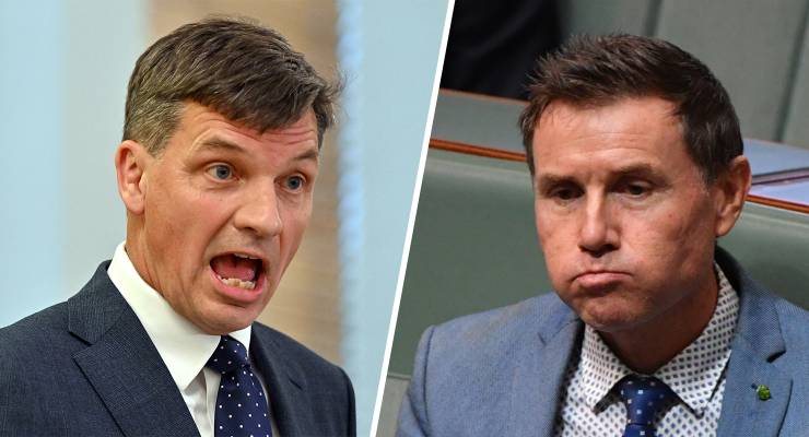 Angus Taylor and Andrew Laming (Images: AAP)