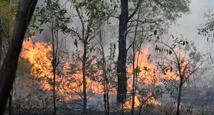 A bushfire in Australian scrubland (Image: AAP/Jono Searle)