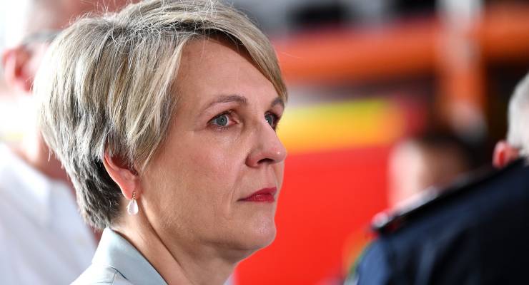 Federal minister for the Environment Tanya Plibersek speaks to the press