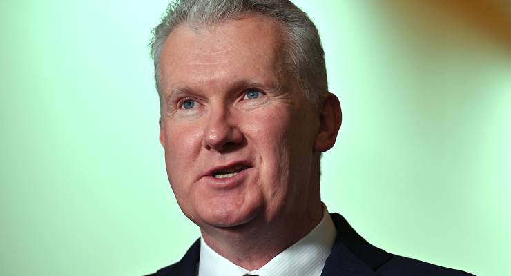 Minister for Employment Tony Burke (Image: AAP/Mick Tsikas)