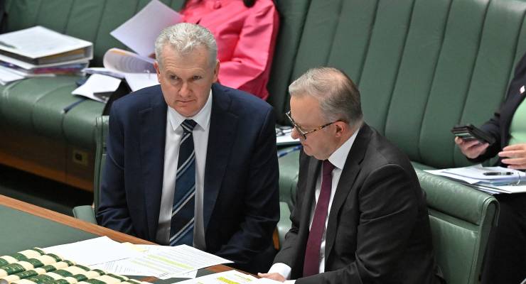 Tony Burke and Anthony Albanese (Image: AAP/Mick Tsikas)
