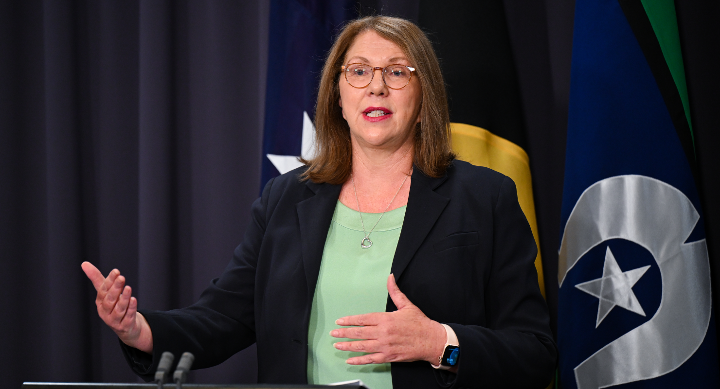 Infrastructure Minister Catherine King (Image: AAP/Lukas Coch)