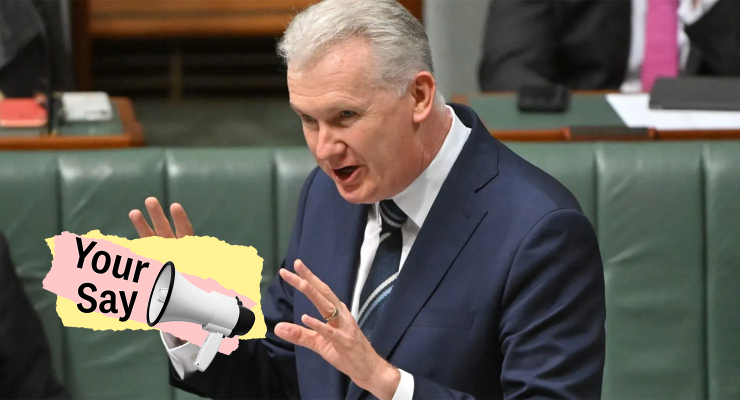 Employment Minister Tony Burke (Image: AAP/Mick Tsikas/Private Media)