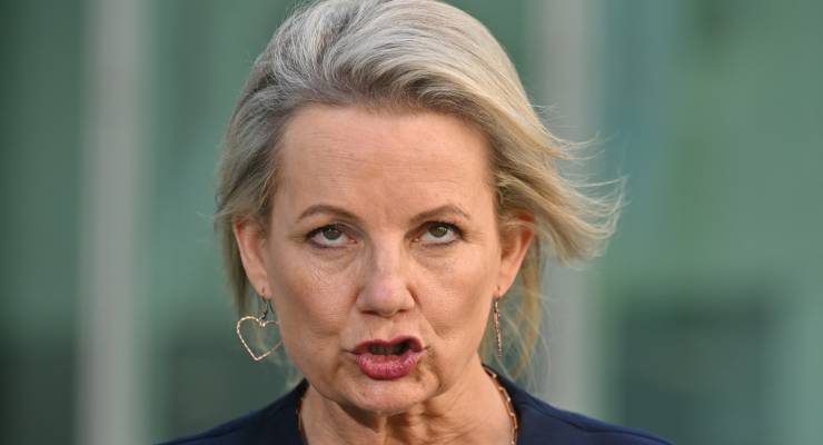 Deputy Liberal Leader Sussan Ley (Image: AAP/Mick Tsikas)