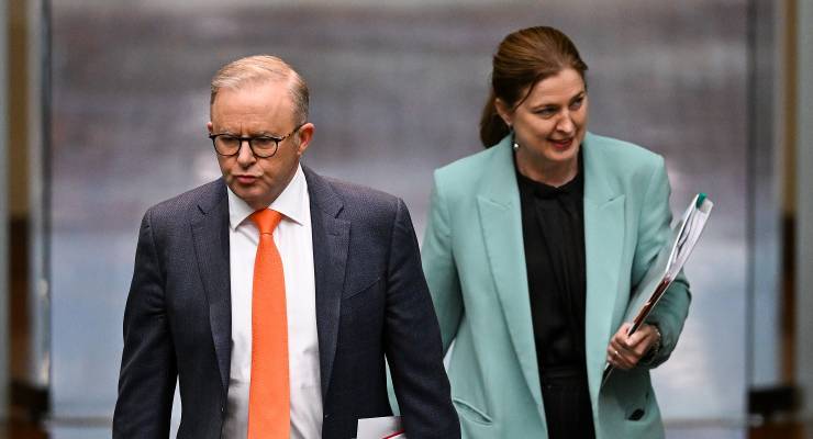 Anthony Albanese and Housing Minister Julie Collins (Image: AAP/Lukas Coch)