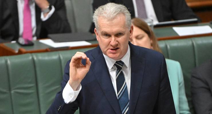 Minister for Employment Tony Burke (Image: AAP/Mick Tsikas)