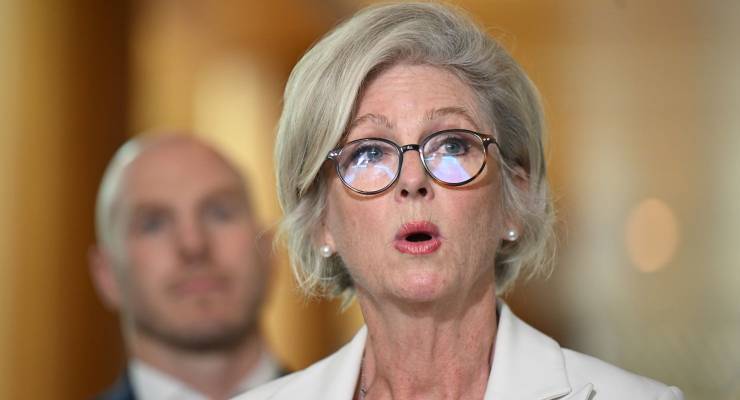 Independent member for Indi Helen Haines (Image: AAP/Lukas Coch)