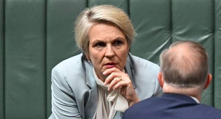 Anthony Albanese speaks to Environment Minister Tanya Plibersek (Image: AAP/Lukas Coch)